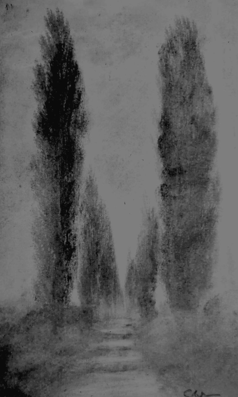 Echos der Stille (Kohle) X
