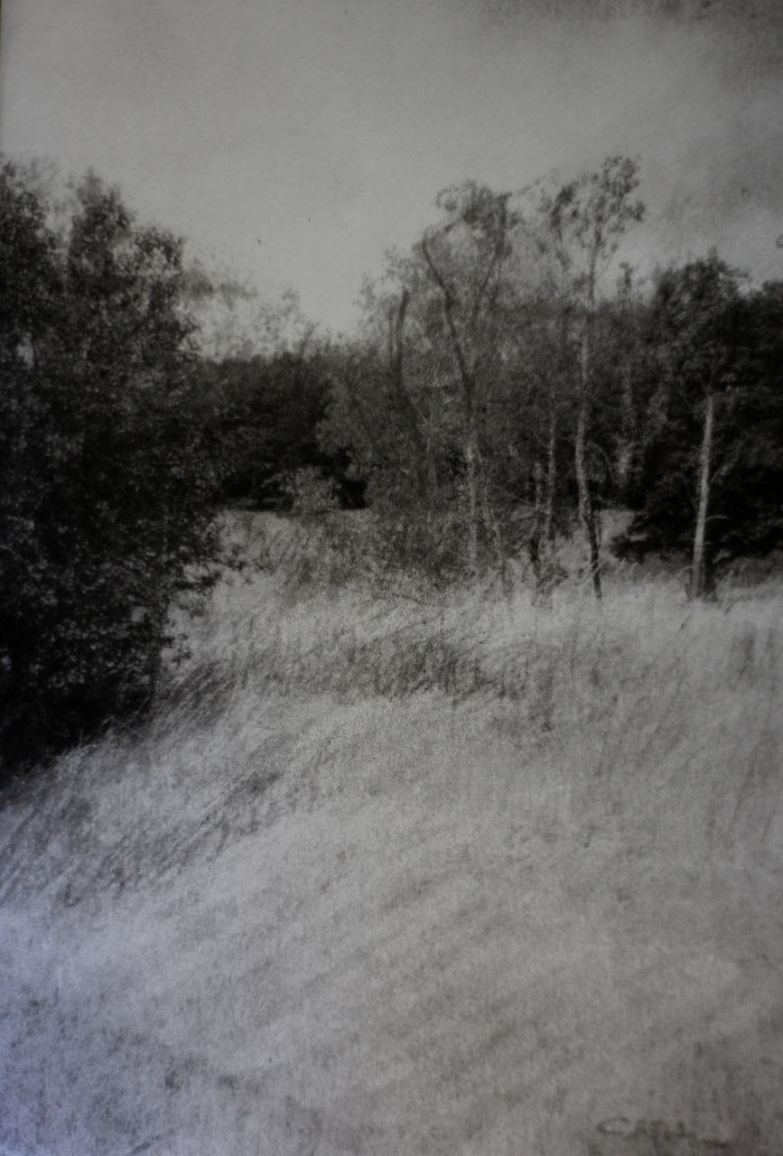 Echos der Stille (Kohle) III