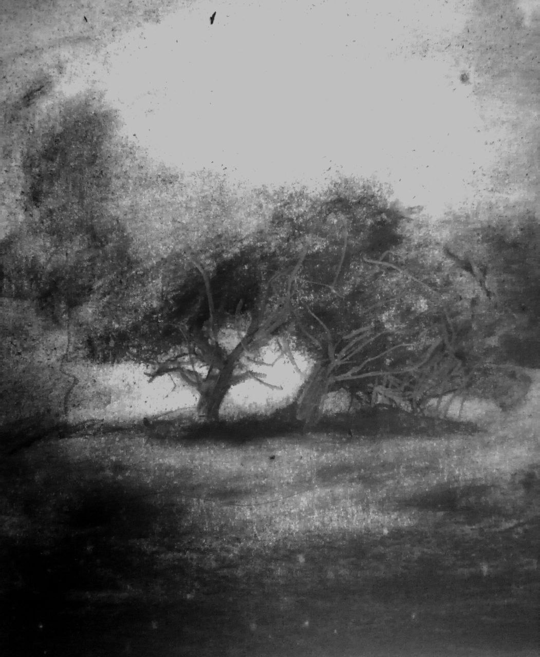 Echos der Stille (Kohle) IV