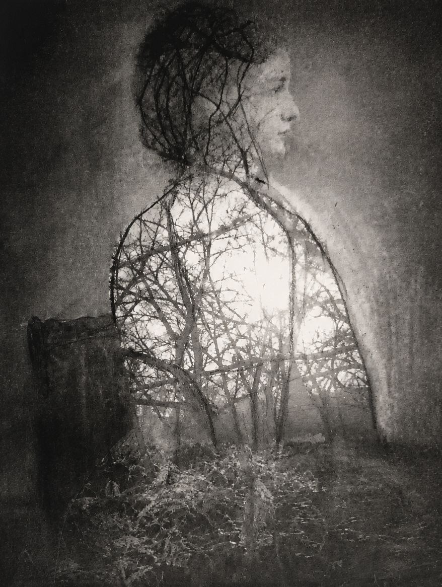 Echos der Stille (Kohle) VII