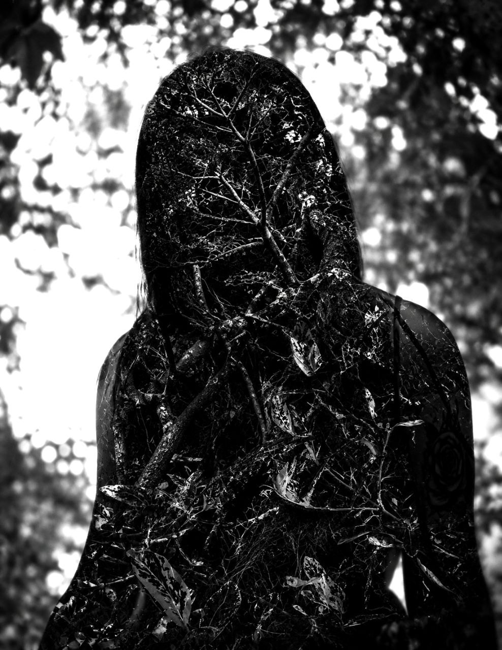 Echos der Stille XXXV