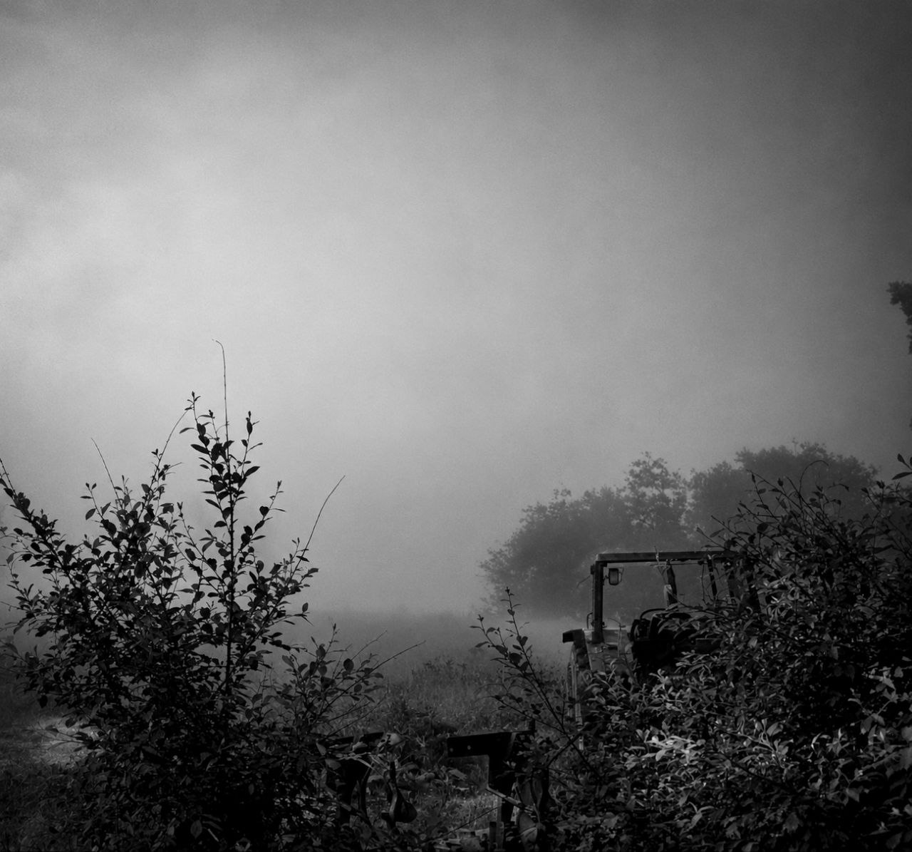 Echos der Stille XXXVIII