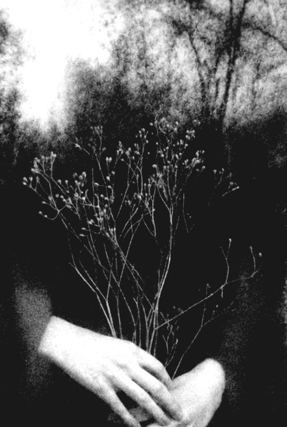 Echos der Stille XLIV
