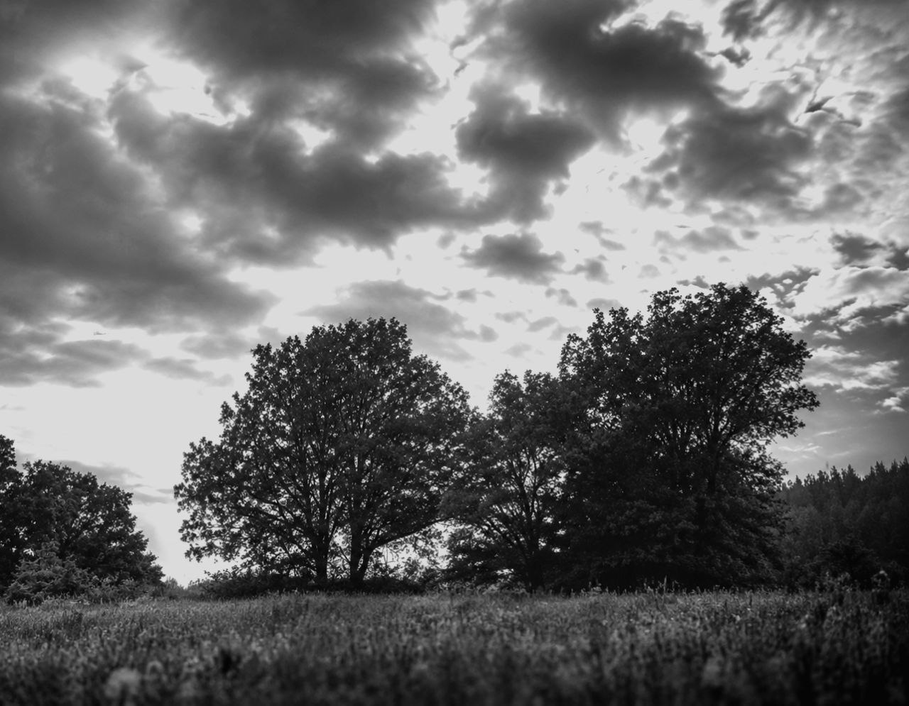 Echos der Stille XLVIII