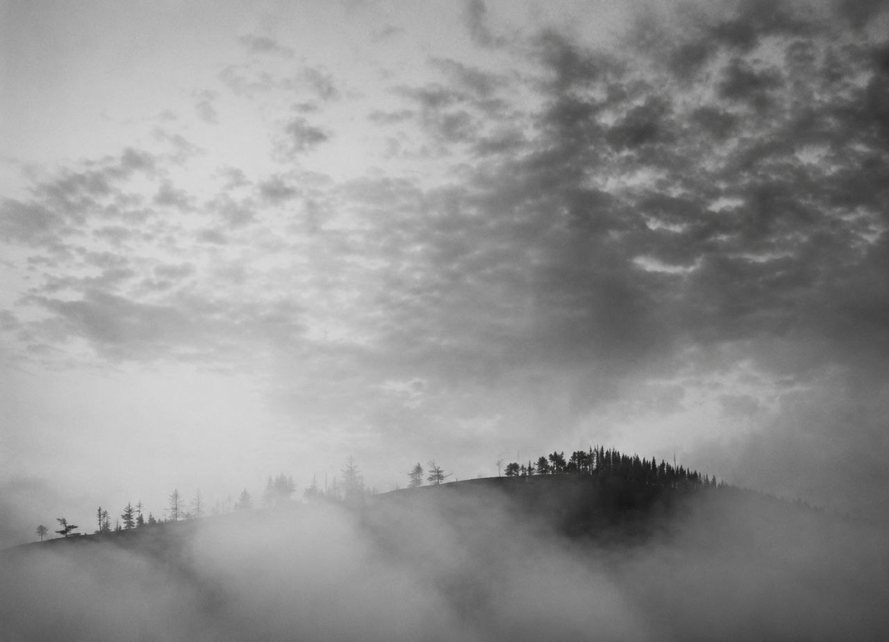 Echos der Stille L